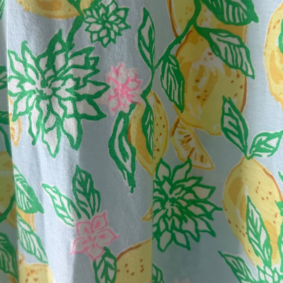 Lilly Pulitzer Riegan dress Bluette make lemonade NWT size medium - Picture 3 of 3